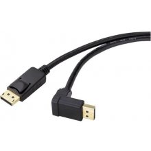 Renkforce SP-9163792 DisplayPort cable 2 m...