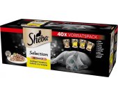 Sheba - Cat - Selection Select Slices...