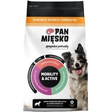 PAN MIĘSKO Special needs Mobility & Active-...