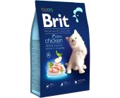 Brit PREMIUM - Cat - Kitten - Chicken - 0,3...