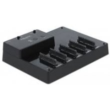 DELOCK  64098 storage drive docking station