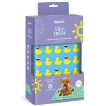 Record Stay Fresh Ducks frozen mat for dogs...