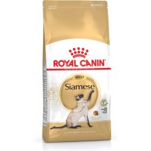 Royal Canin Siamese 38 kassitoit 2 kg (FBN)