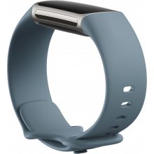 Fitbit Charge 5 Platinum stainless steel