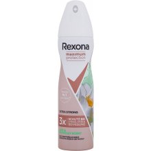 Rexona Maximum Protection Lime & Waterlily...