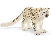 Verschiedene Snow Leopard