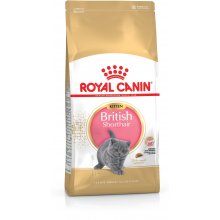 Royal Canin Kitten British Shorthair...