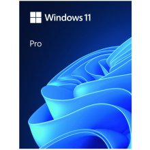 Microsoft Windows 11 Professional BOX USB PL