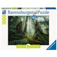 Ravensburger Puzzles 1000 elements Forests