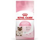 Royal Canin Mother & Babycat kassitoit 4 kg...