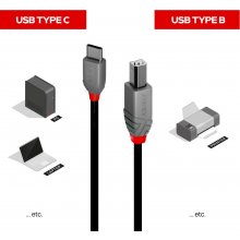 Lindy 0.5m USB 2.0 Typ C an B Kabel, Anthra...