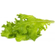 Click & Grow Smart Refill Tammelehe salat...