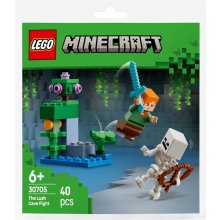 LEGO Bricks Minecraft 30705 The Lush Cave...