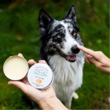 JM Sante GREEN SANTE Natural nose balm for...