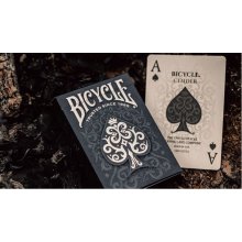 Bicycle Cinder Cards