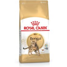 Royal Canin - Cat - Bengal - Adult - 10kg...