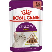 Royal Canin Sensory Smell - Gravy - karp...