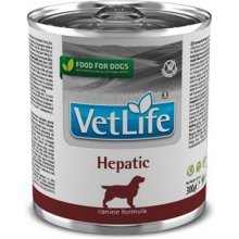 Farmina - Vet Life - Dog - Hepatic - 300g
