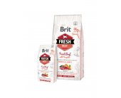 Brit Fresh - Beef & Pumpkin - Growth &...