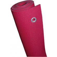 Sveltus Yoga mat TAPIGYM 1334 170x60x0,5cm...