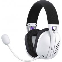 HAVIT Fuxi-H3 gaming headphones (black)