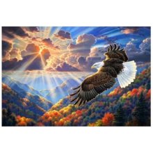 Norimpex Image Painting by numbers - Eagle...