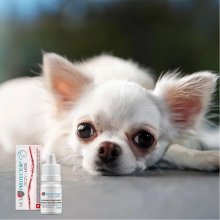 JM Sante Vet Protector Ligo - eye drops for...
