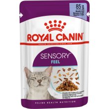 Royal Canin Sensory Feel gravy 12x85g (FHN)