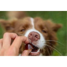 CONTIPRO GELOREN Small dog Joints - dog...