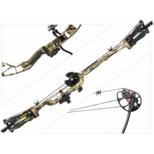 POE LANG Rex Quad 25-45lb 28’ pulley bow...