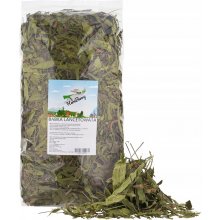 Factoryherbs Plantain leaf - treat for...