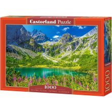 Castor Puzzle 1000 elements Zelene Pleso...