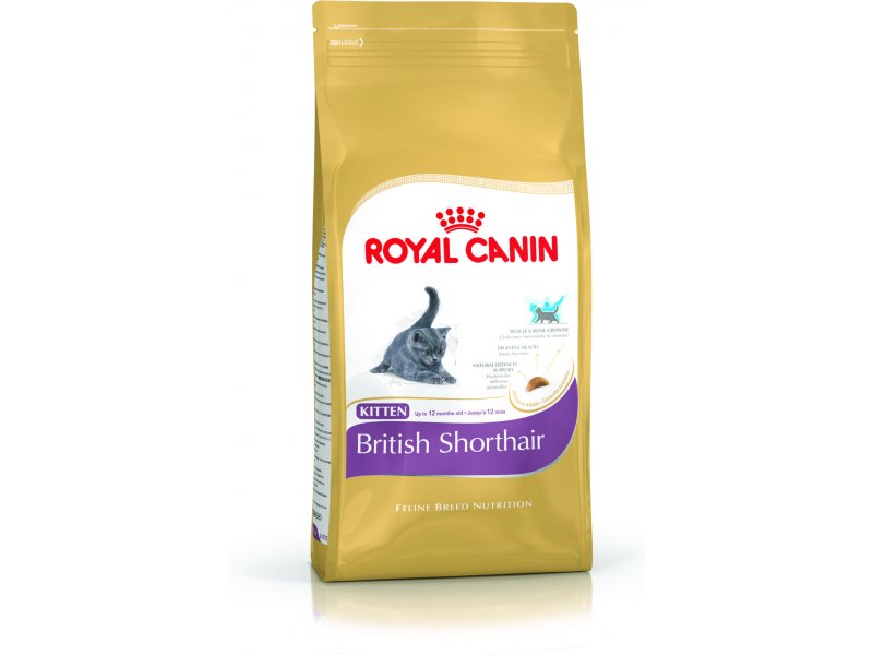 royal canin kitten british shorthair 10kg