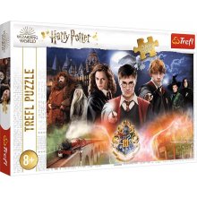 Trefl Puzzle 300 pcs Mysterious Harry Potter