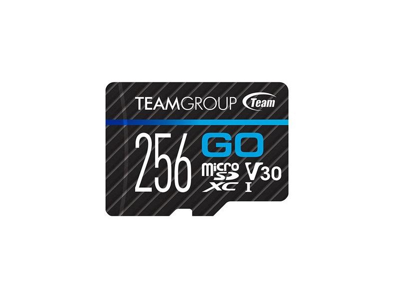 TeamGroup 256GB Go Card micro SDXC UHS-I Card New TGUSDX256GU303  765441051638