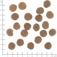 WOLFSBLUT VetLine Weight Management Turkey -...