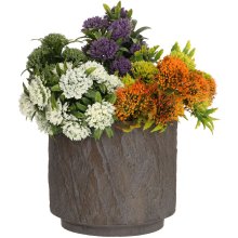 Home4you Artificial plant GREENLAND H31cm...