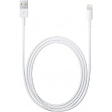 Apple Lightning USB Cable - 2m - white