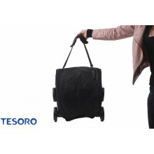 Tesoro Baby stroller S900 Purple