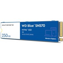 Kõvaketas WESTERN DIGITAL Disc SSD Blue...