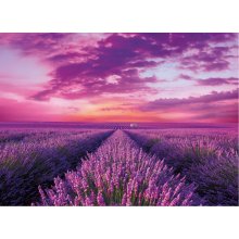 Clementoni Lavender Field