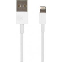 APPLE Lightning - USB Kabel 2M Retail