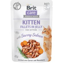 Brit Care Fillets in Jelly salmon fillets -...