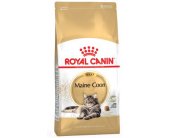 Royal Canin Maine Coon 31 kassitoit 10 kg