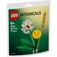 LEGO Bricks Botanicals 30701 Field Flowers