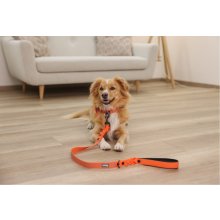 KERBL Puno Reflective Dog Collar - Orange -...