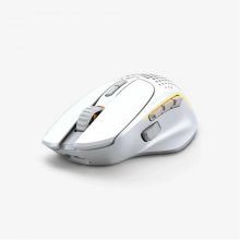 Glorious PC Gaming Race Model I 2 mouse...