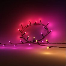 Philips Hue Festavia string lights 250 LED...