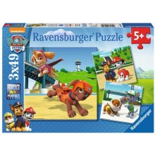 Ravensburger Polska Puzzle 3x49 pieces Paw...