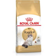 Royal Canin Ragdoll FBN Adult - dry cat food...